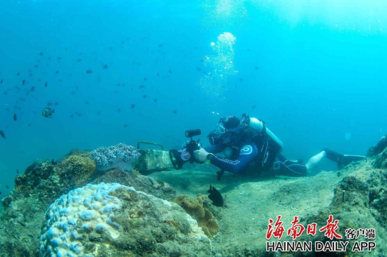 suggest doing sth的过去式是什么？游戏画面